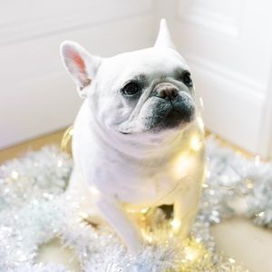 Meet your Posher, Kara